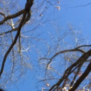 Meet your Posher, Shuyan